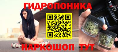 прущие крисы Кимры