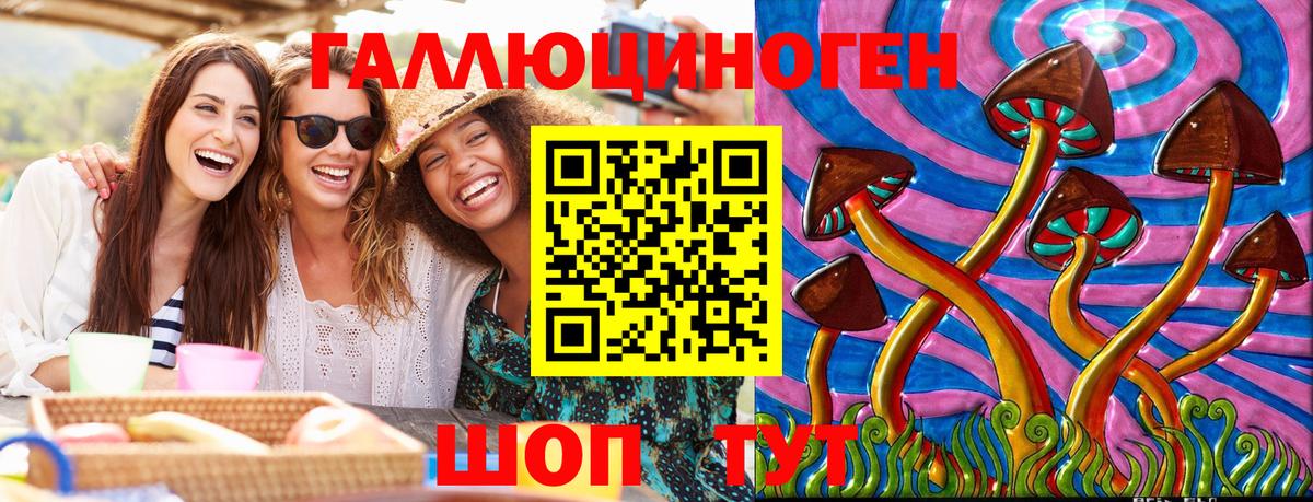 Псилоцибиновые грибы Psilocybine cubensis Кулебаки