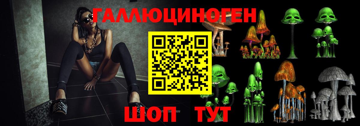 хочу наркоту  Псилоцибиновые грибы ЛСД  Вход с VPN  Кулебаки 